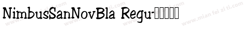 NimbusSanNovBla Regu字体转换